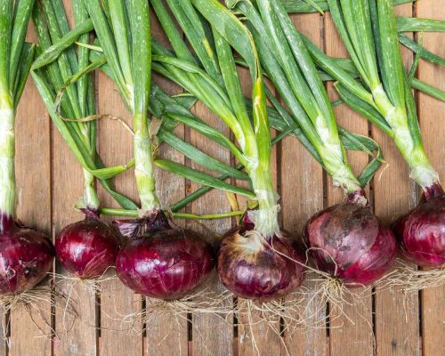 red-onions-7110784-hero-79e37549208f4b21a95481bcb7725cb1