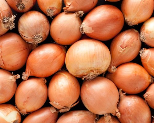 A top view of a layer of yellow onions.  The onions have brown skins.  They are arranged randomly.  The medium sized onions fill the horizontal frame.  This vegetable background shows healthy unbruised onions.  Some onions are round while others are oval.